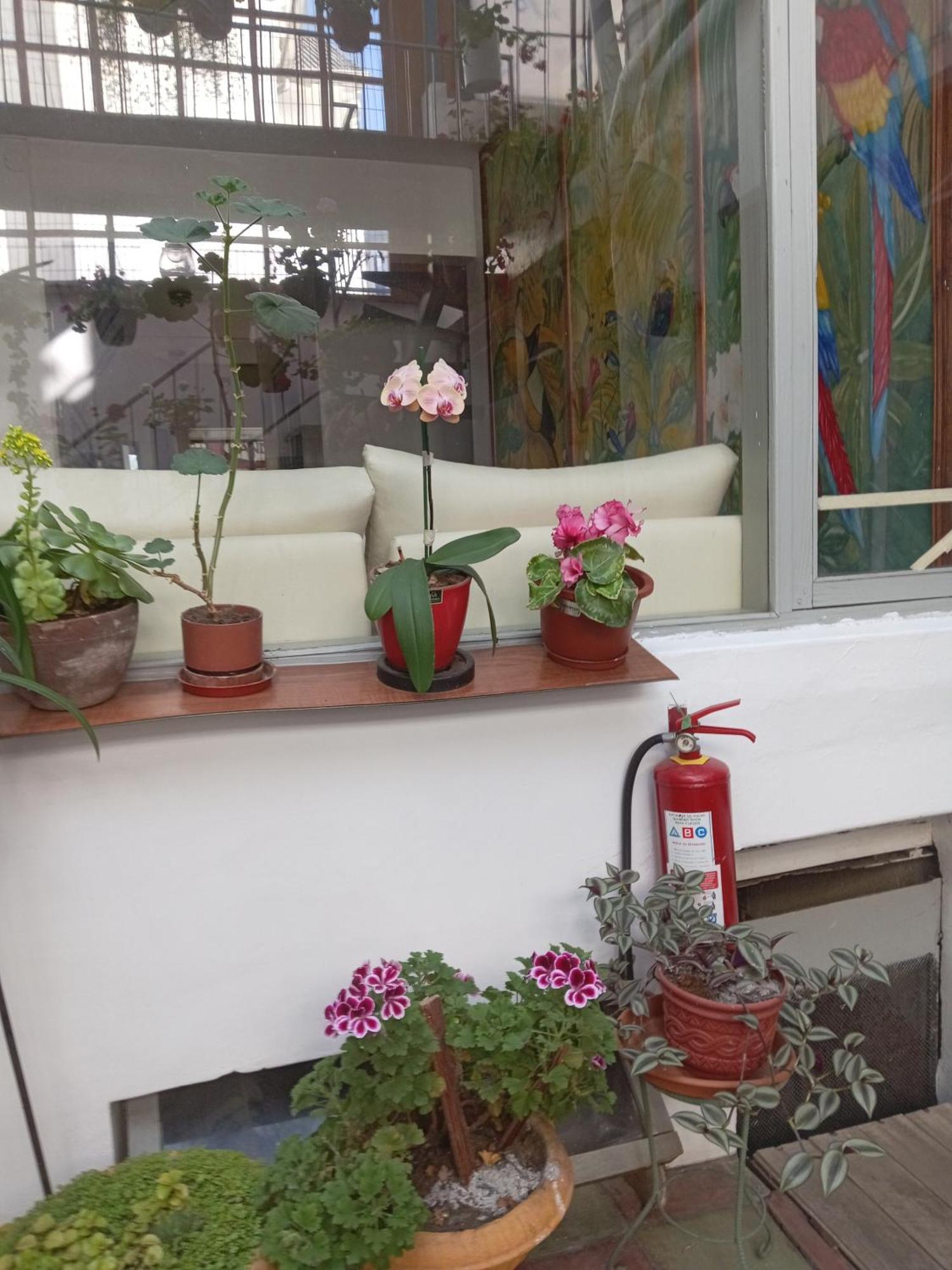 Hostal Posada Del Maple Quito Esterno foto