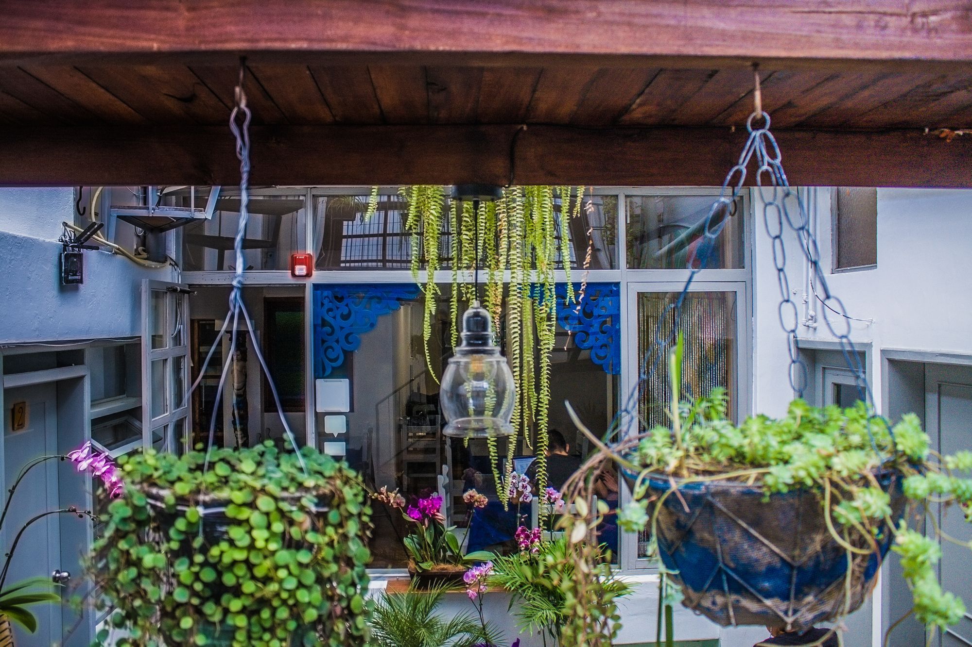 Hostal Posada Del Maple Quito Esterno foto