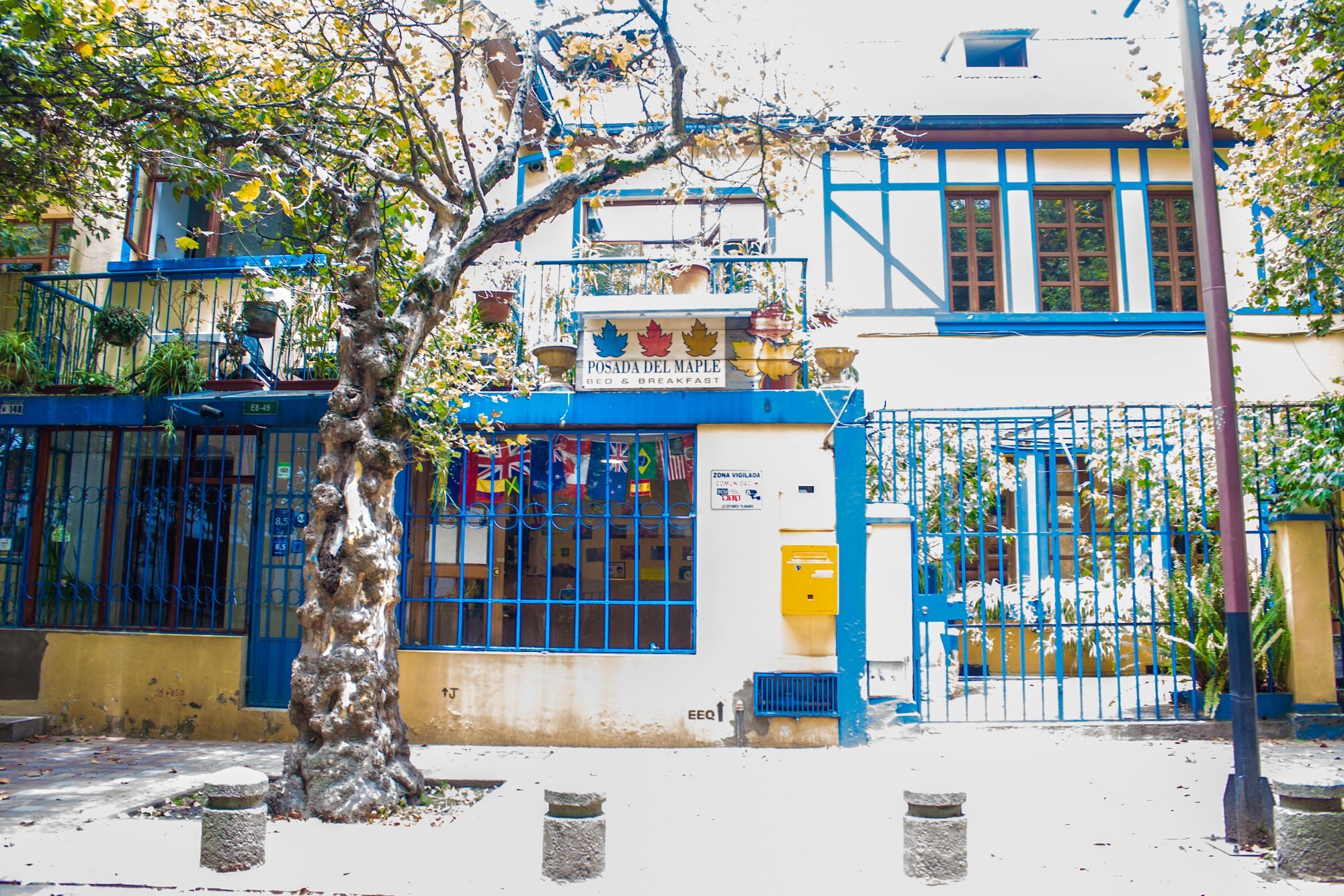 Hostal Posada Del Maple Quito Esterno foto